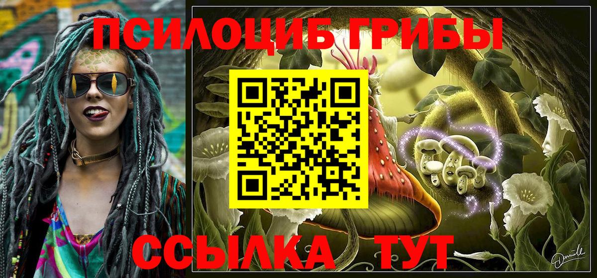 Галлюциногенные грибы мухоморы  Вход с VPN  Грозный  Псилоцибиновые грибы GOLDEN TEACHER 