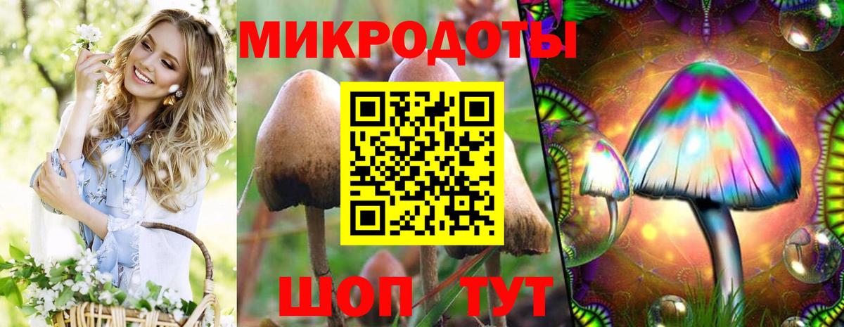 Галлюциногенные грибы мицелий Грозный