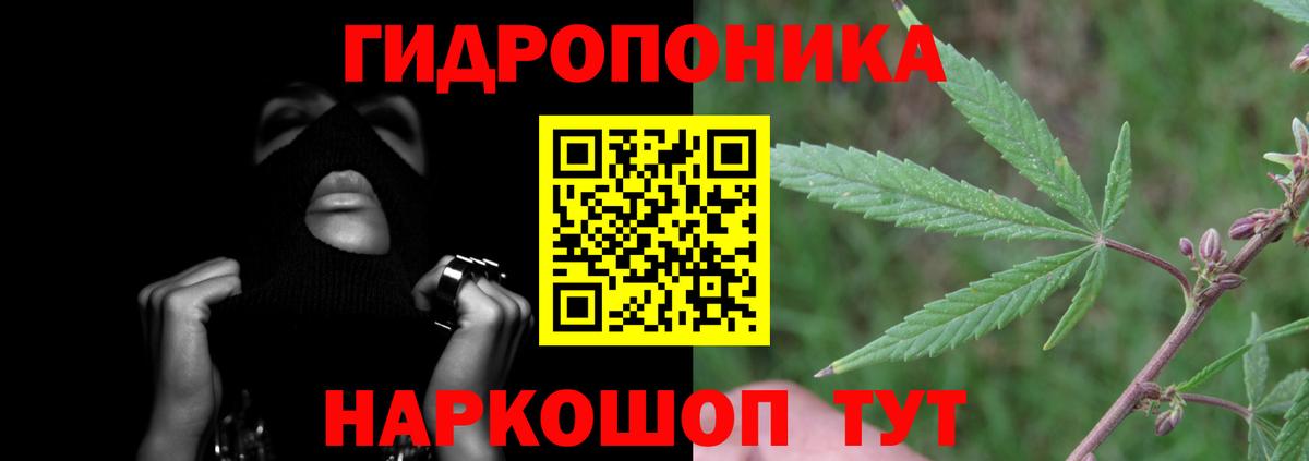 Конопля AK-47 Грозный